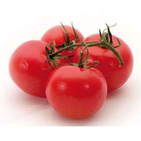 POMODORO RAMATO FRESCO